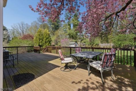 9 Laurel Avenue Franklin NJ 08528