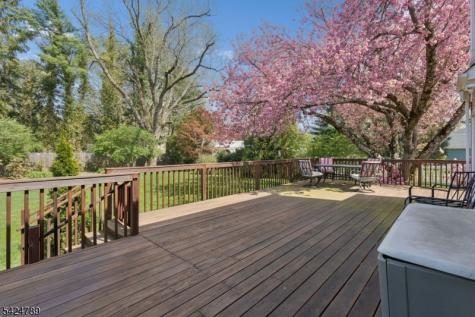 9 Laurel Avenue Franklin NJ 08528