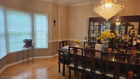 5 Jupiter Hills Court Montgomery NJ 08558