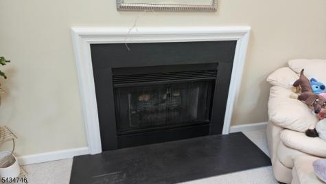 5 Jupiter Hills Court Montgomery NJ 08558