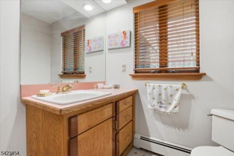3 Hillbrook Lane Holland NJ 08848