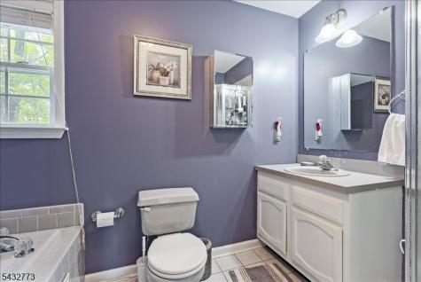 4 Pembrook Court Liberty NJ 07838
