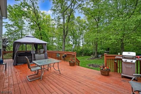 4 Pembrook Court Liberty NJ 07838