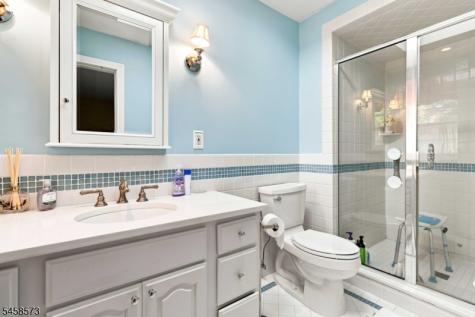 16 Warwick Road Chatham NJ 07928