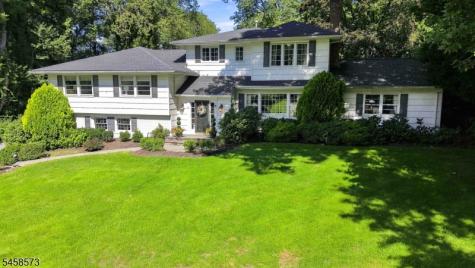 16 Warwick Road Chatham NJ 07928
