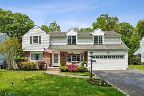 22 Homestead Terrace Scotch Plains NJ 07076