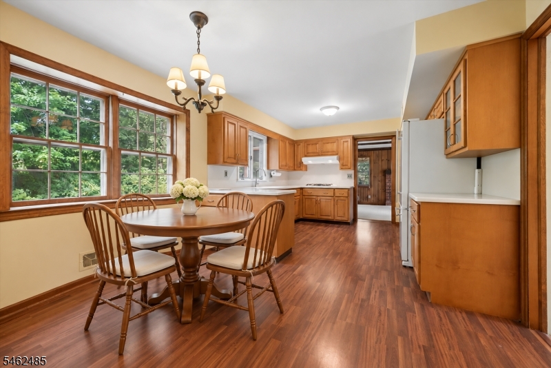 1 Ellyn Court Morris NJ 07960