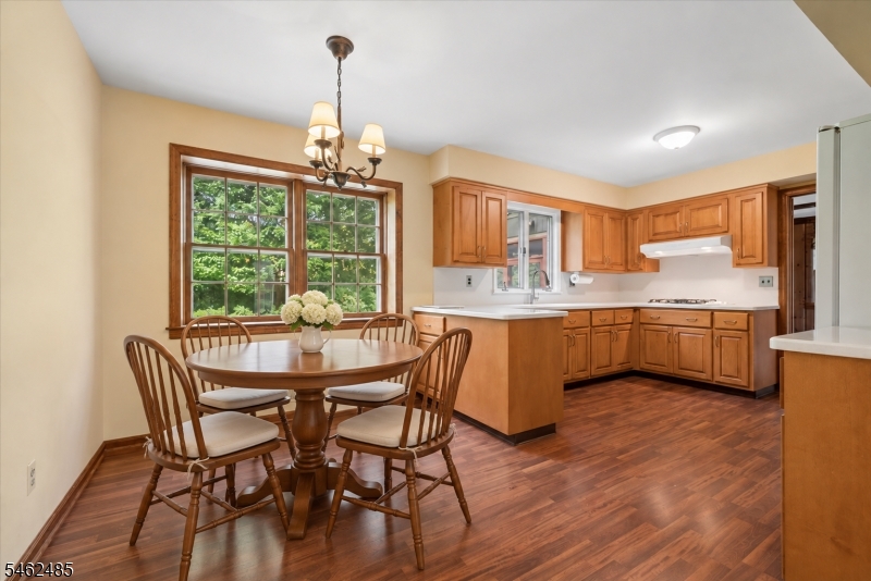 1 Ellyn Court Morris NJ 07960