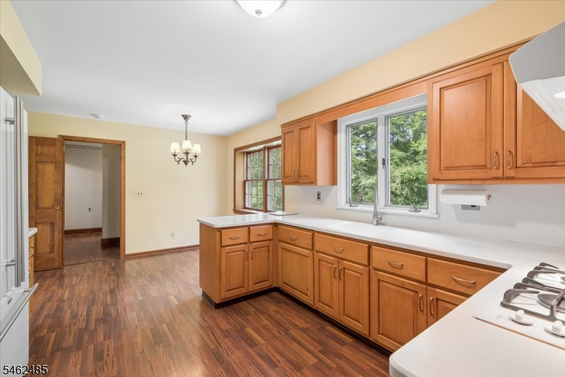 1 Ellyn Court Morris NJ 07960