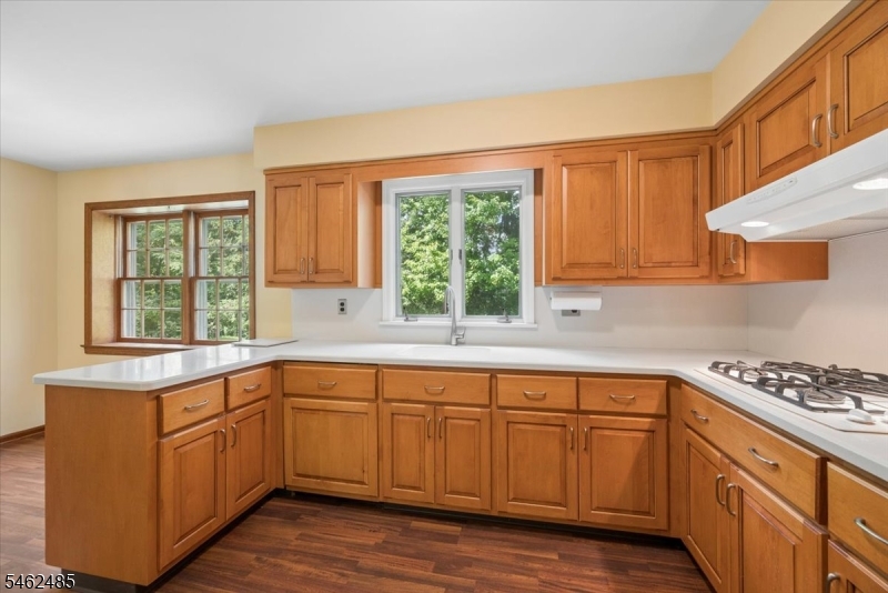 1 Ellyn Court Morris NJ 07960
