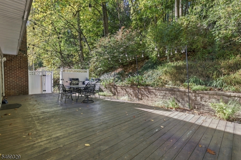 49 Raynor Road Morris NJ 07960