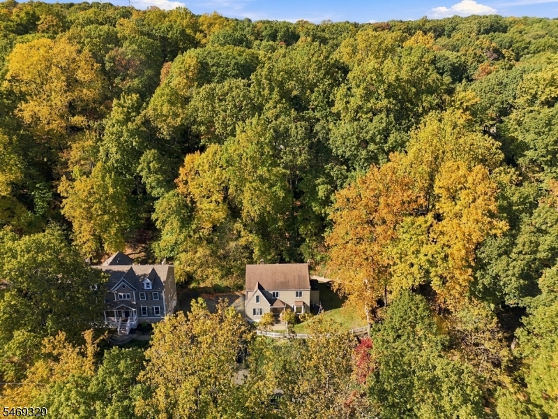 49 Raynor Road Morris NJ 07960