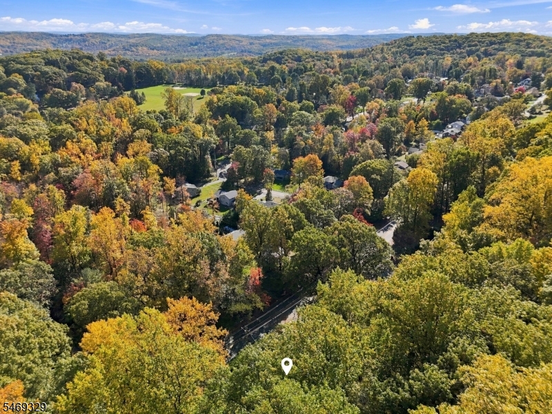 49 Raynor Road Morris NJ 07960