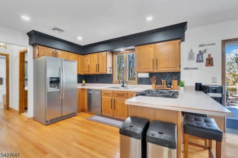 16 Joan Drive Byram NJ 07874