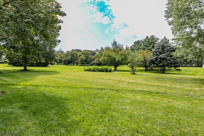 9 Summershade Lane Raritan NJ 08551