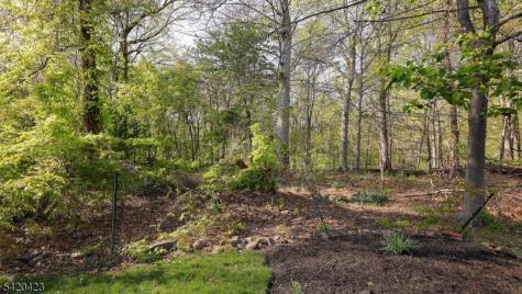156 Mohawk Drive Cranford NJ 07016