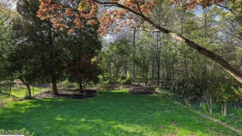 156 Mohawk Drive Cranford NJ 07016