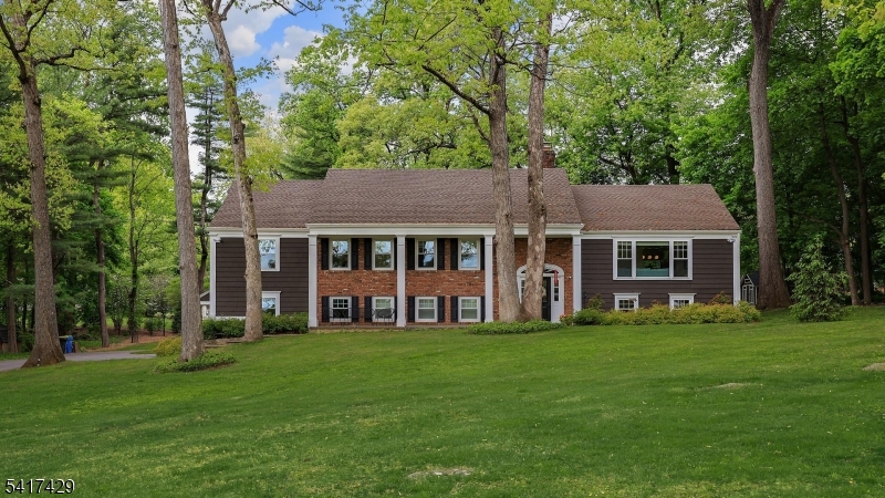 150 Seney Drive Bernardsville NJ 07924