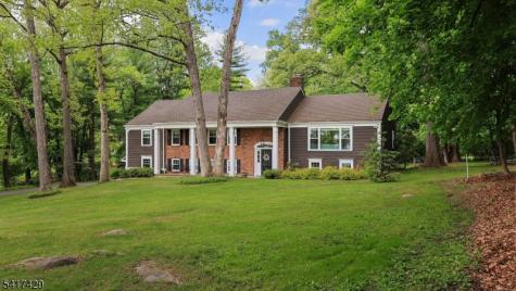 150 Seney Drive Bernardsville NJ 07924