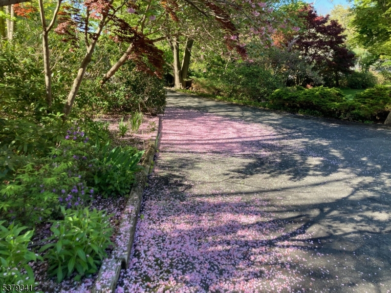 833 Berkshire Valley Road Jefferson NJ 07885