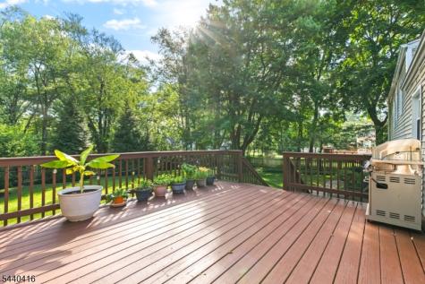 42 Sherwood Drive New Providence NJ 07974