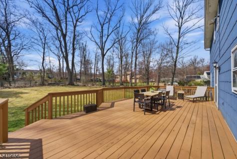 4 Gristmill Road Hanover NJ 07927