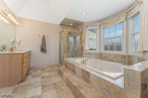 7 Newell Road Readington NJ 08822