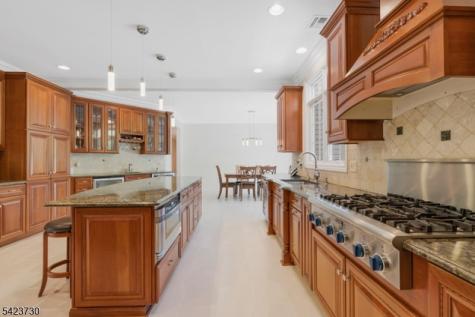 17 Constitution Avenue Roxbury NJ 07876