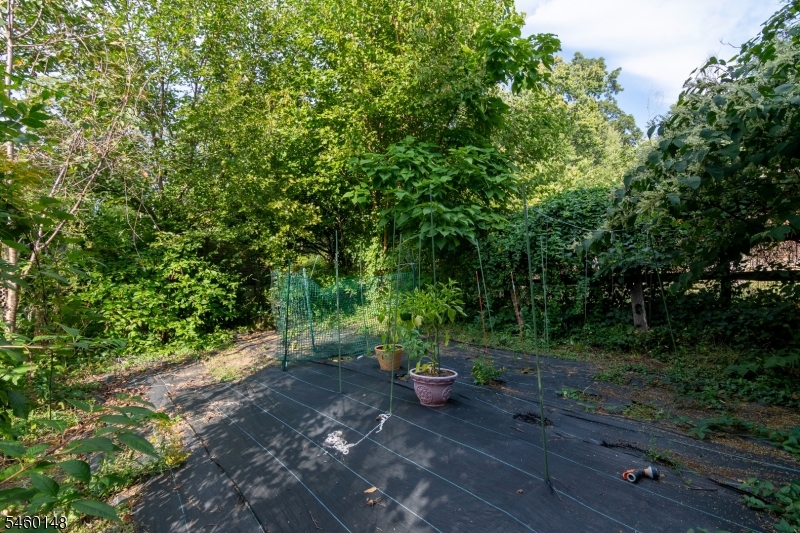 6 Dogwood Hill Warren NJ 07059