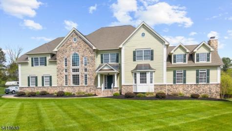 4 Steinbeck Court Alexandria NJ 08848