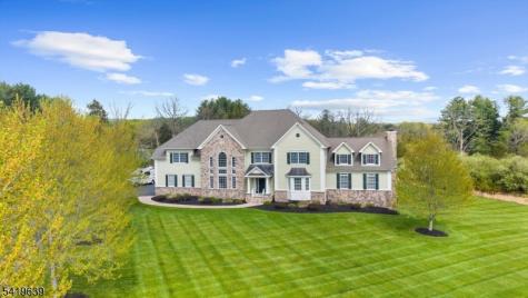 4 Steinbeck Court Alexandria NJ 08848