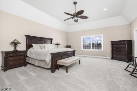 4 Steinbeck Court Alexandria NJ 08848