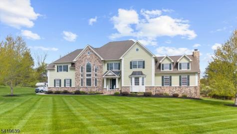 4 Steinbeck Court Alexandria NJ 08848