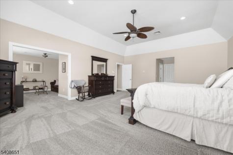 4 Steinbeck Court Alexandria NJ 08848