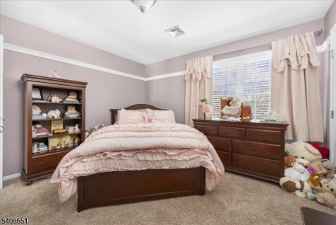 4 Steinbeck Court Alexandria NJ 08848
