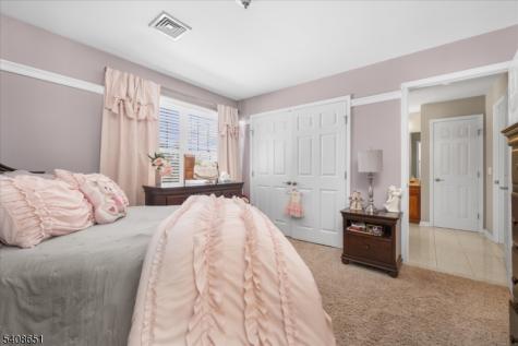 4 Steinbeck Court Alexandria NJ 08848