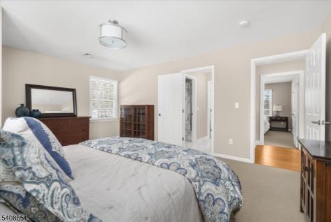 4 Steinbeck Court Alexandria NJ 08848