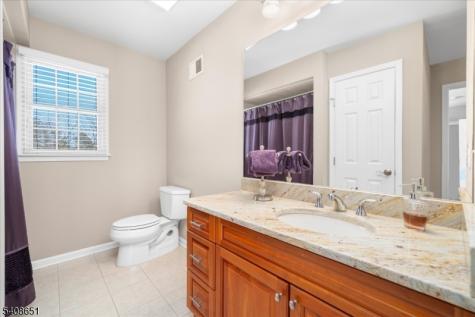 4 Steinbeck Court Alexandria NJ 08848