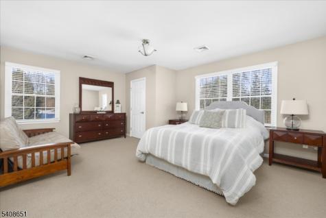 4 Steinbeck Court Alexandria NJ 08848