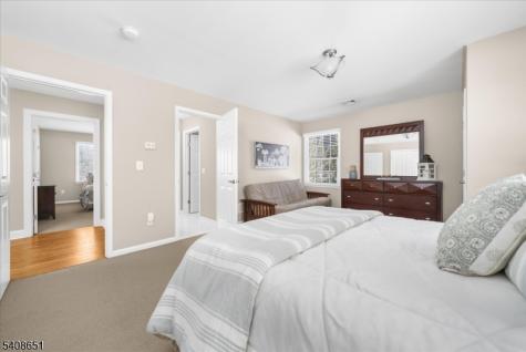 4 Steinbeck Court Alexandria NJ 08848