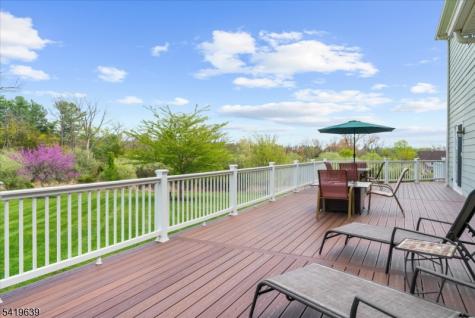 4 Steinbeck Court Alexandria NJ 08848
