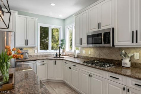 18 Renshaw Drive Montville NJ 07045