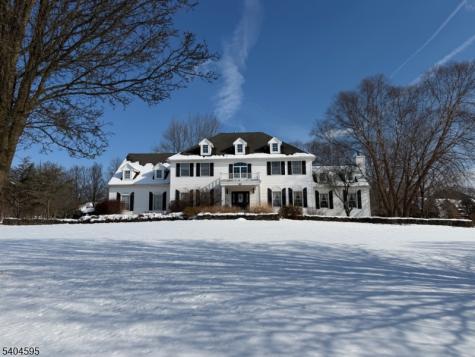 20 Northwood Drive Alexandria NJ 08867