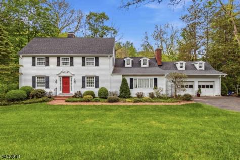 20 Wood Road Morris NJ 07960