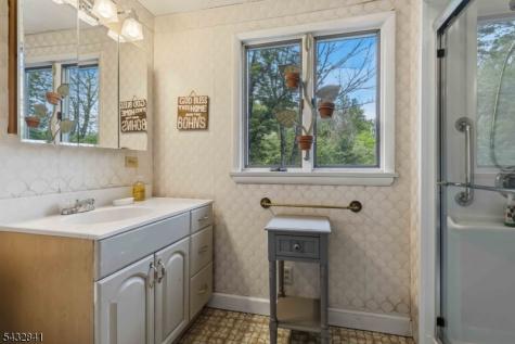 20 Wood Road Morris NJ 07960