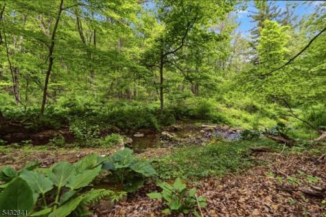 20 Wood Road Morris NJ 07960