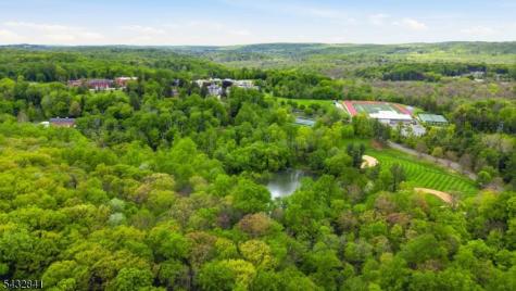 20 Wood Road Morris NJ 07960