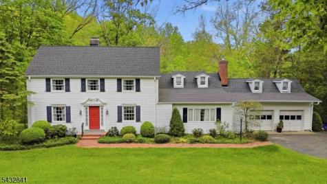 20 Wood Road Morris NJ 07960