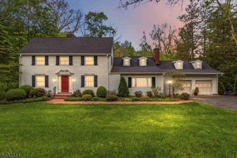 20 Wood Road Morris NJ 07960