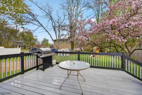 16 Devonshire Terrace Mount Olive NJ 07836